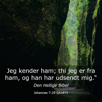 Picture 03 - Johannes 7:29 DA1871 - Jeg kender ham; thi jeg er fra ham, og han har - Bible Verse Picture