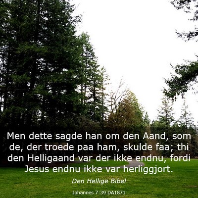 Picture 03 - Johannes 7:39 DA1871 - Men dette sagde han om den Aand, som de, der - Bible Verse Picture