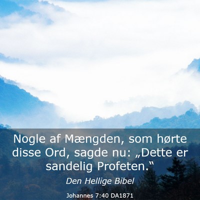 Picture 03 - Johannes 7:40 DA1871 - Nogle af Mængden, som hørte disse Ord, sagde - Bible Verse Picture