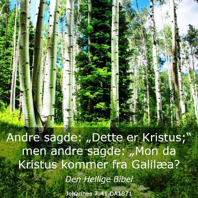 Picture 03 - Johannes 7:41 DA1871 - Andre sagde: „Dette er Kristus;“ men andre - Bible Verse Picture