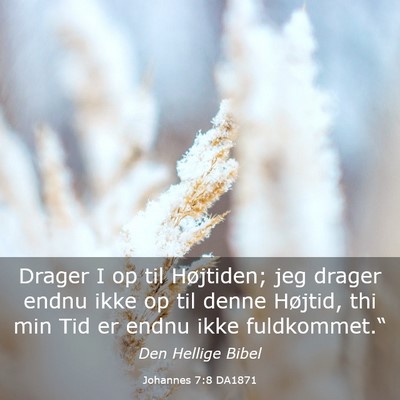 Picture 03 - Johannes 7:8 DA1871 - Drager I op til Højtiden; jeg drager endnu ikke - Bible Verse Picture