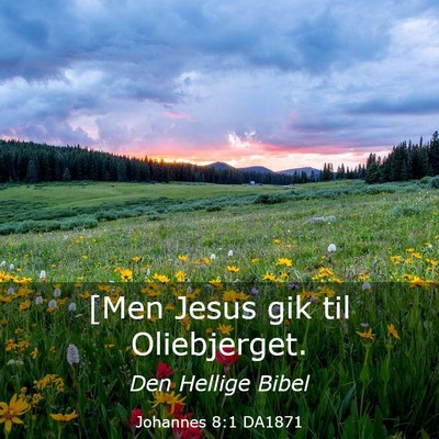 Picture 03 - Johannes 8:1 DA1871 - [Men Jesus gik til - Bible Verse Picture