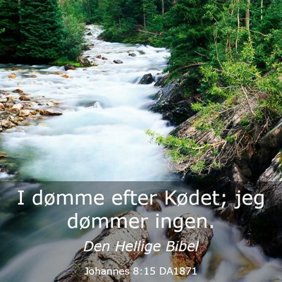 Picture 03 - Johannes 8:15 DA1871 - I dømme efter Kødet; jeg dømmer - Bible Verse Picture