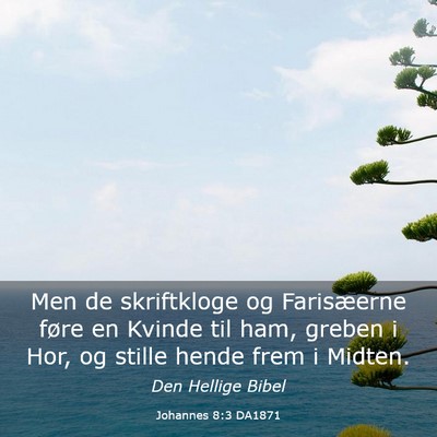 Picture 03 - Johannes 8:3 DA1871 - Men de skriftkloge og Farisæerne føre en Kvinde - Bible Verse Picture