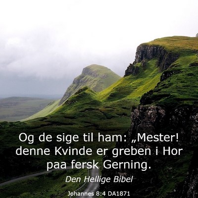 Picture 03 - Johannes 8:4 DA1871 - Og de sige til ham: „Mester! denne Kvinde er - Bible Verse Picture