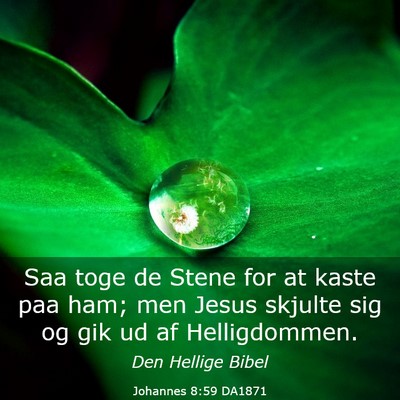 Picture 03 - Johannes 8:59 DA1871 - Saa toge de Stene for at kaste paa ham; men Jesus - Bible Verse Picture