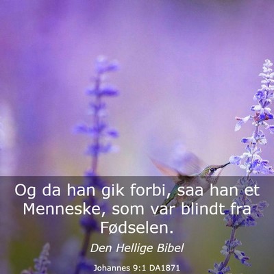 Picture 03 - Johannes 9:1 DA1871 - Og da han gik forbi, saa han et Menneske, som var - Bible Verse Picture