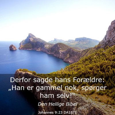Picture 03 - Johannes 9:23 DA1871 - Derfor sagde hans Forældre: „Han er gammel - Bible Verse Picture