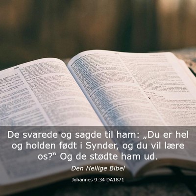 Picture 03 - Johannes 9:34 DA1871 - De svarede og sagde til ham: „Du er hel og - Bible Verse Picture