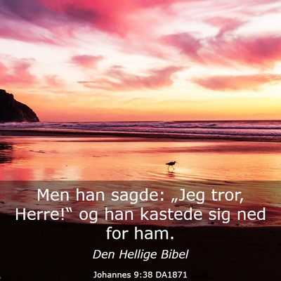 Picture 03 - Johannes 9:38 DA1871 - Men han sagde: „Jeg tror, Herre!“ og han - Bible Verse Picture