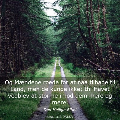 Picture 03 - Jonas 1:13 DA1871 - Og Mændene roede for at naa tilbage til Land, - Bible Verse Picture