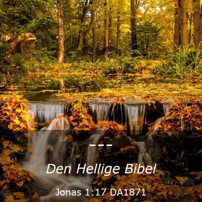 Picture 03 - Jonas 1:17 DA1871 -  - Bible Verse Picture