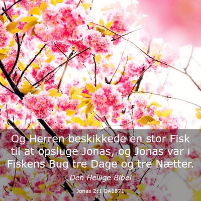 Picture 03 - Jonas 2:1 DA1871 - Og Herren beskikkede en stor Fisk til at opsluge - Bible Verse Picture