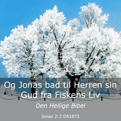Picture 03 - Jonas 2:2 DA1871 - Og Jonas bad til Herren sin Gud fra Fiskens - Bible Verse Picture