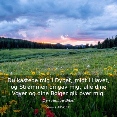 Picture 03 - Jonas 2:4 DA1871 - Du kastede mig i Dybet, midt i Havet, og - Bible Verse Picture