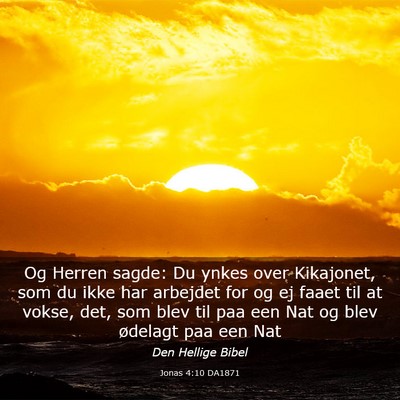 Picture 03 - Jonas 4:10 DA1871 - Og Herren sagde: Du ynkes over Kikajonet, som du - Bible Verse Picture