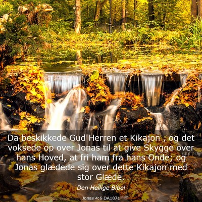 Picture 03 - Jonas 4:6 DA1871 - Da beskikkede Gud Herren et Kikajon , og det - Bible Verse Picture