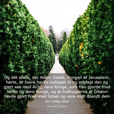 Picture 03 - Josua 10:1 DA1871 - Og det skete, der Adoni-Zedek, Kongen af - Bible Verse Picture