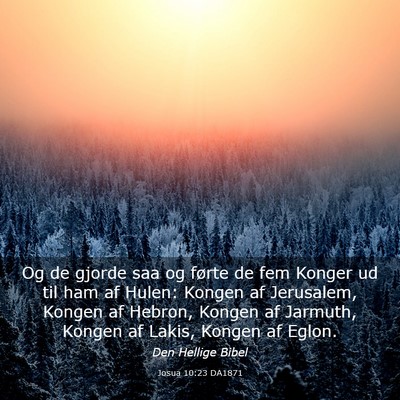Picture 03 - Josua 10:23 DA1871 - Og de gjorde saa og førte de fem Konger ud til - Bible Verse Picture