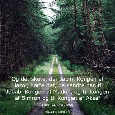 Picture 03 - Josua 11:1 DA1871 - Og det skete, der Jabin, Kongen af Hazor, hørte - Bible Verse Picture