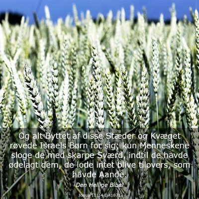 Picture 03 - Josua 11:14 DA1871 - Og alt Byttet af disse Stæder og Kvæget røvede - Bible Verse Picture