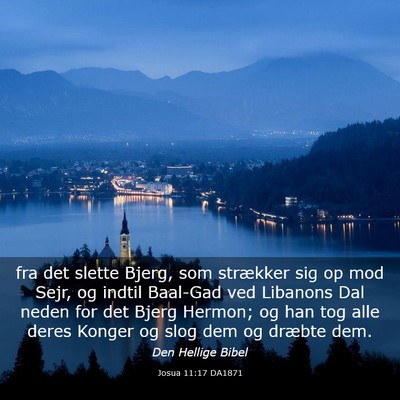 Picture 03 - Josua 11:17 DA1871 - fra det slette Bjerg, som strækker sig op mod - Bible Verse Picture