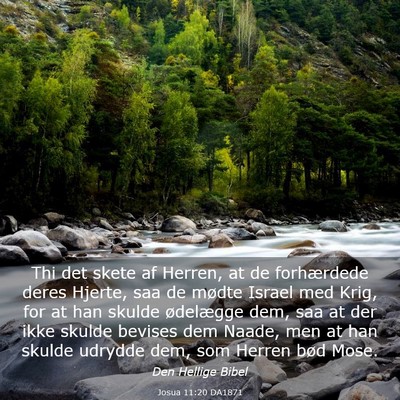Picture 03 - Josua 11:20 DA1871 - Thi det skete af Herren, at de forhærdede deres - Bible Verse Picture
