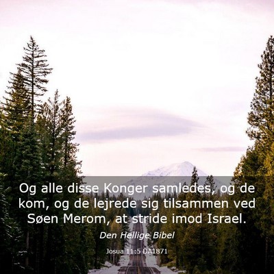 Picture 03 - Josua 11:5 DA1871 - Og alle disse Konger samledes, og de kom, og de - Bible Verse Picture