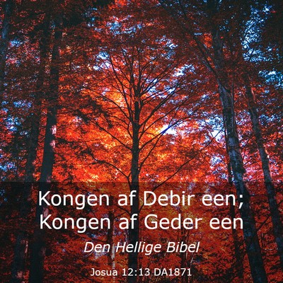 Picture 03 - Josua 12:13 DA1871 - Kongen af Debir een; Kongen af Geder - Bible Verse Picture