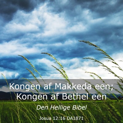 Picture 03 - Josua 12:16 DA1871 - Kongen af Makkeda een; Kongen af Bethel - Bible Verse Picture