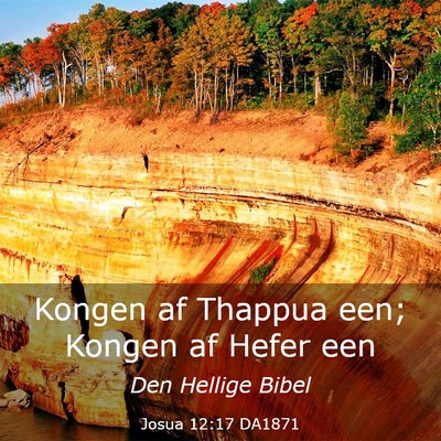 Picture 03 - Josua 12:17 DA1871 - Kongen af Thappua een; Kongen af Hefer - Bible Verse Picture