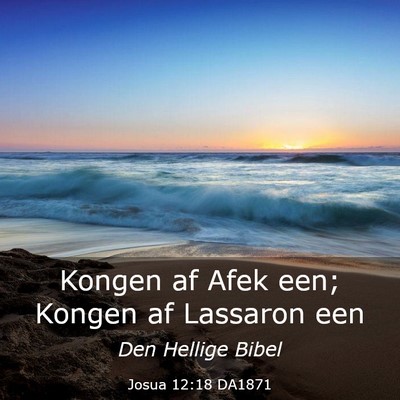 Picture 03 - Josua 12:18 DA1871 - Kongen af Afek een; Kongen af Lassaron - Bible Verse Picture