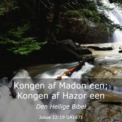 Picture 03 - Josua 12:19 DA1871 - Kongen af Madon een; Kongen af Hazor - Bible Verse Picture
