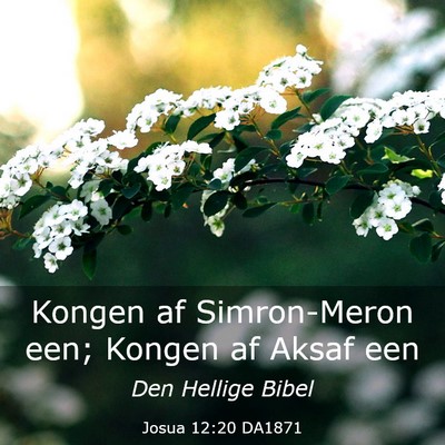 Picture 03 - Josua 12:20 DA1871 - Kongen af Simron-Meron een; Kongen af Aksaf - Bible Verse Picture