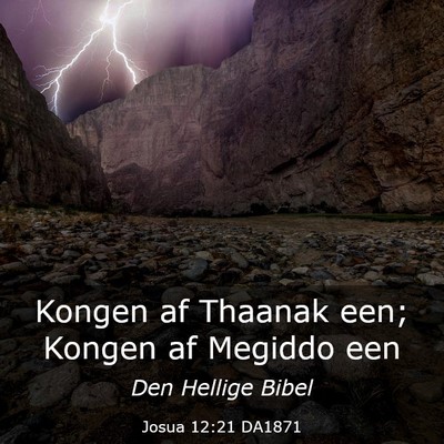 Picture 03 - Josua 12:21 DA1871 - Kongen af Thaanak een; Kongen af Megiddo - Bible Verse Picture