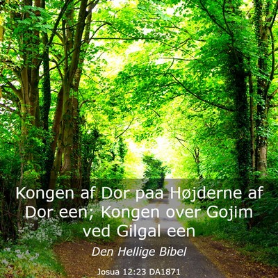 Picture 03 - Josua 12:23 DA1871 - Kongen af Dor paa Højderne af Dor een; Kongen - Bible Verse Picture