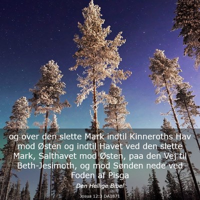 Picture 03 - Josua 12:3 DA1871 - og over den slette Mark indtil Kinneroths Hav mod - Bible Verse Picture