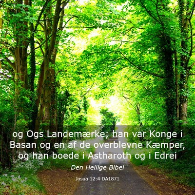 Picture 03 - Josua 12:4 DA1871 - og Ogs Landemærke; han var Konge i Basan og en - Bible Verse Picture