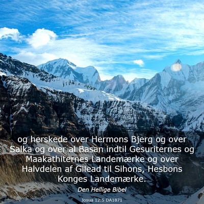 Picture 03 - Josua 12:5 DA1871 - og herskede over Hermons Bjerg og over Salka og - Bible Verse Picture
