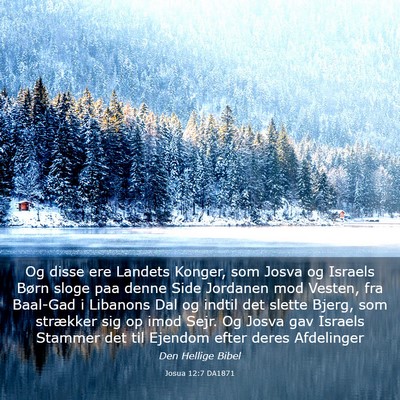 Picture 03 - Josua 12:7 DA1871 - Og disse ere Landets Konger, som Josva og Israels - Bible Verse Picture