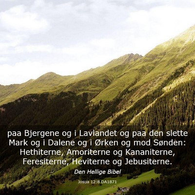 Picture 03 - Josua 12:8 DA1871 - paa Bjergene og i Lavlandet og paa den slette - Bible Verse Picture