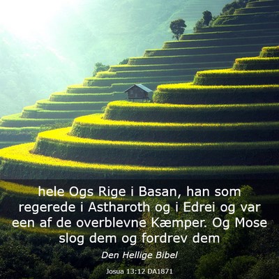 Picture 03 - Josua 13:12 DA1871 - hele Ogs Rige i Basan, han som regerede i - Bible Verse Picture