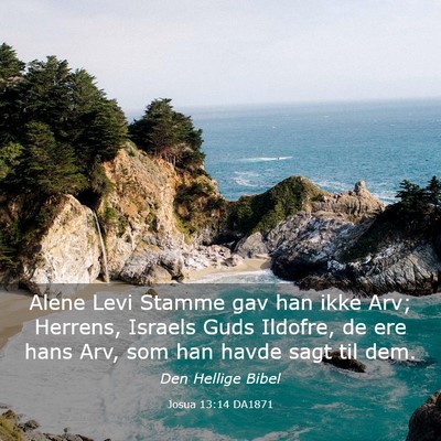 Picture 03 - Josua 13:14 DA1871 - Alene Levi Stamme gav han ikke Arv; Herrens, - Bible Verse Picture