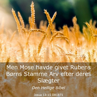 Picture 03 - Josua 13:15 DA1871 - Men Mose havde givet Rubens Børns Stamme Arv - Bible Verse Picture