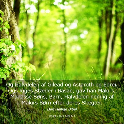 Picture 03 - Josua 13:31 DA1871 - Og Halvdelen af Gilead og Astaroth og Edrei, Ogs - Bible Verse Picture