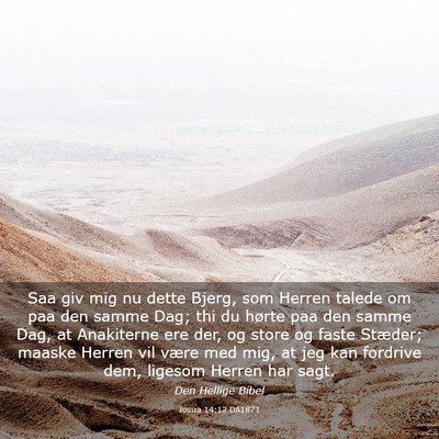 Picture 03 - Josua 14:12 DA1871 - Saa giv mig nu dette Bjerg, som Herren talede om - Bible Verse Picture