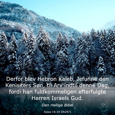 Picture 03 - Josua 14:14 DA1871 - Derfor blev Hebron Kaleb, Jefunne den Kenisiters - Bible Verse Picture