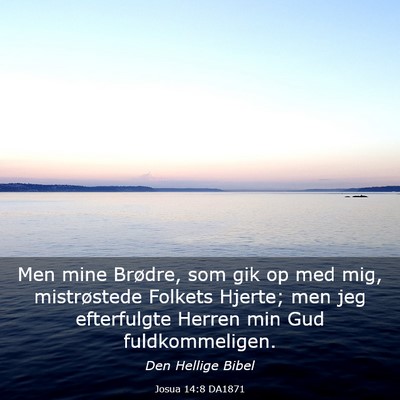 Picture 03 - Josua 14:8 DA1871 - Men mine Brødre, som gik op med mig, - Bible Verse Picture