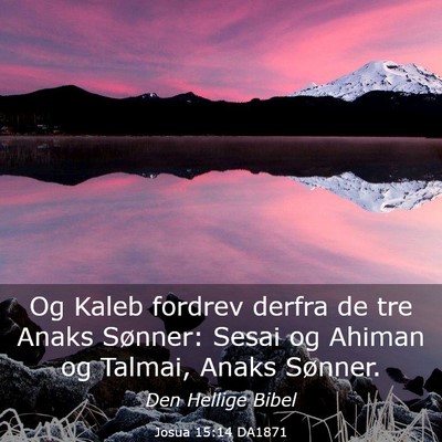 Picture 03 - Josua 15:14 DA1871 - Og Kaleb fordrev derfra de tre Anaks Sønner: - Bible Verse Picture