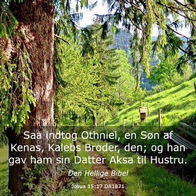 Picture 03 - Josua 15:17 DA1871 - Saa indtog Othniel, en Søn af Kenas, Kalebs - Bible Verse Picture